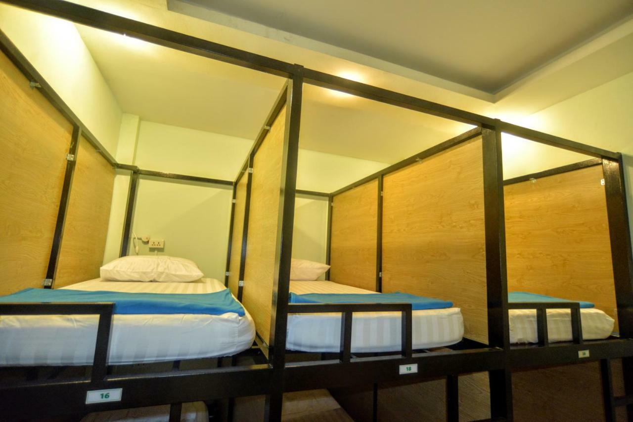 Albergue Jungle House *