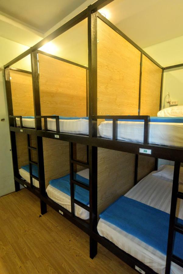 Jungle House Albergue